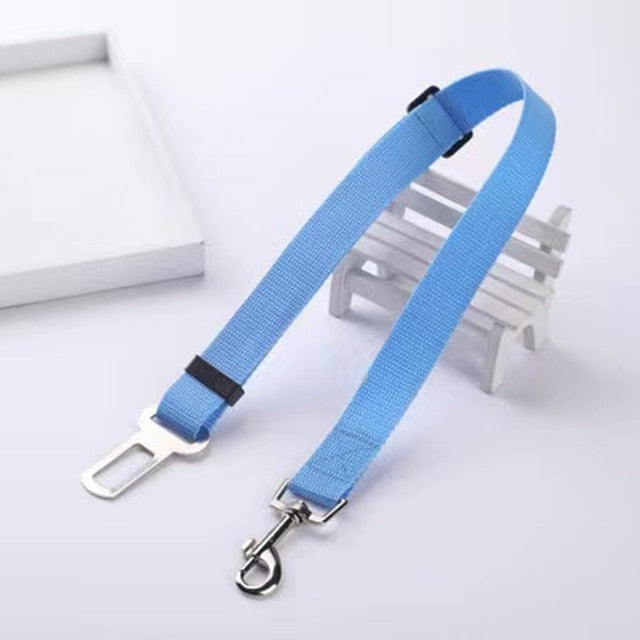 "Going For A Ride" Car Seat Belt