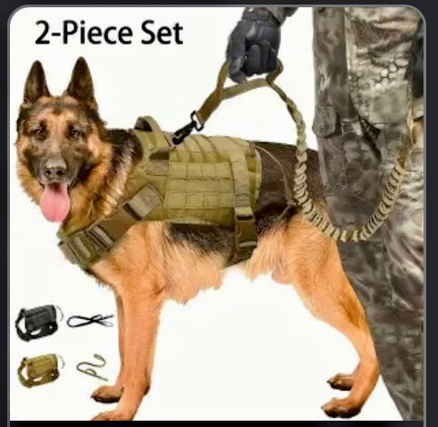 Elite Tactical Dog Harness & Leash Set