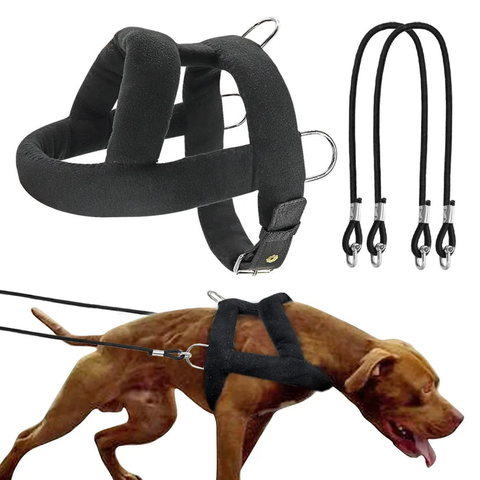 Canine Weight Pulling Harness