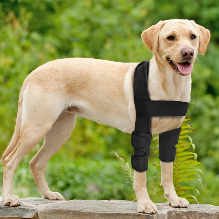 Dog Knee Brace - Surgical Joint Wrap for Leg Injuries, Wounds, Arthritis - Canine Front Leg Support - Heals & Prevents - Veterinary-Approved Medical Supplie