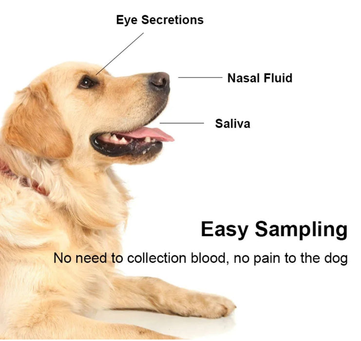 Instant Result Saliva Dog Parvovirus Rapid Test Kit