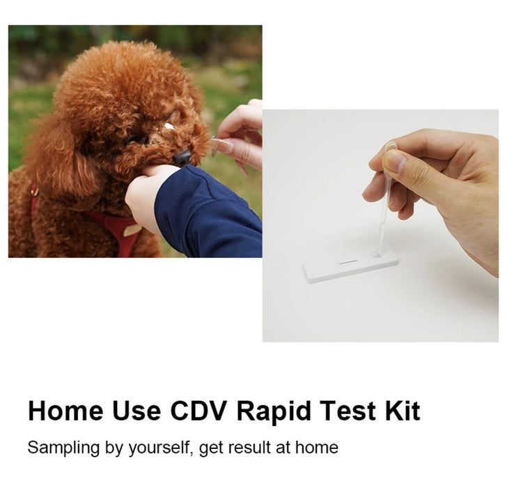 Instant Result Saliva Dog Parvovirus Rapid Test Kit