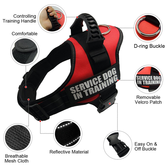 Service & Support Pet Harness