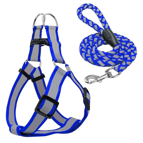  No Pull Step in Dog Harness & Walking Leash Set