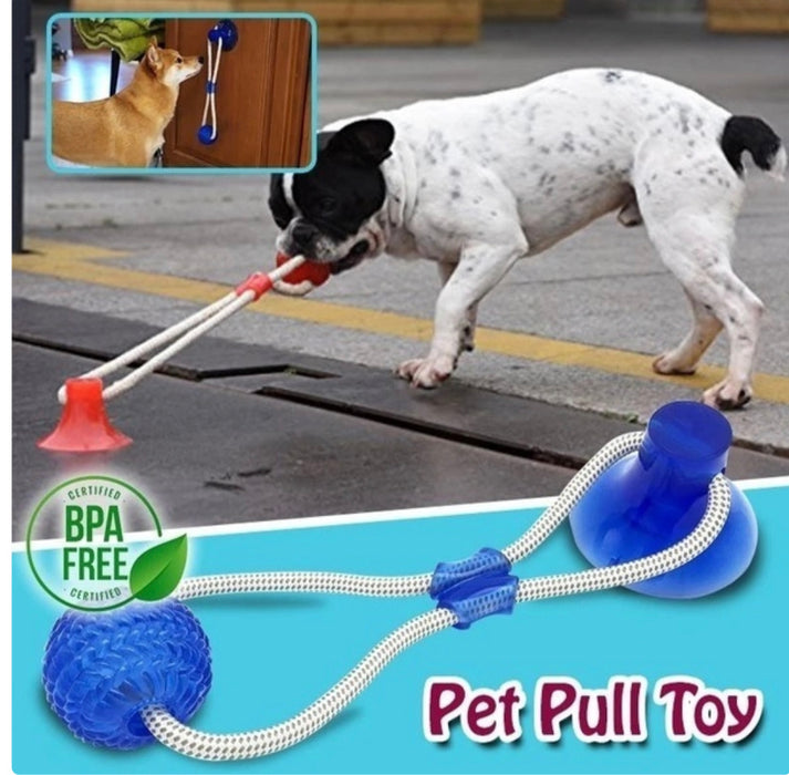 suction cup tug toy