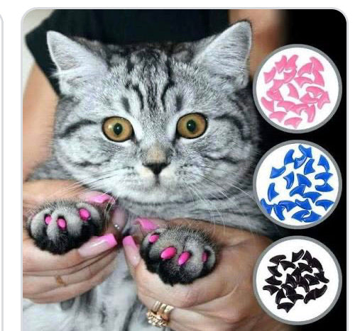 cat nail covers
