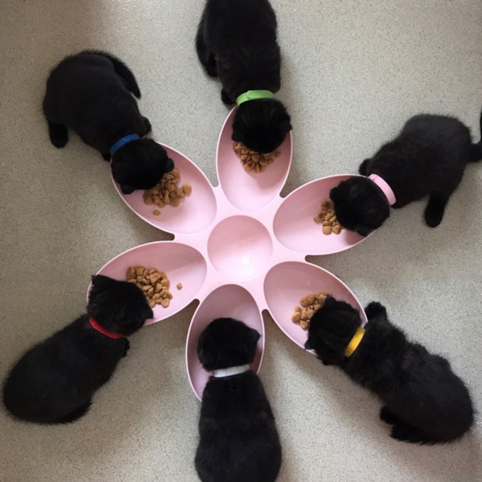 6 In 1 Pet Puppy Food Feeder