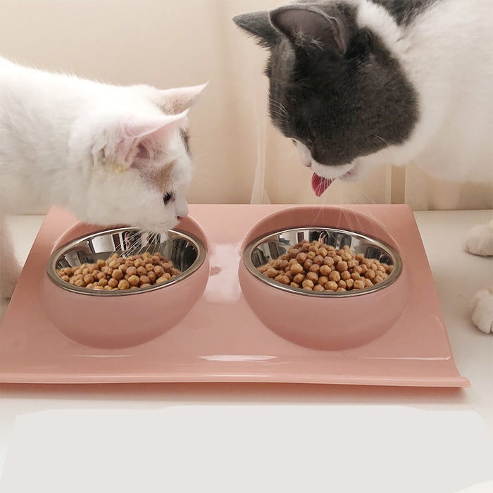 pet food bowl