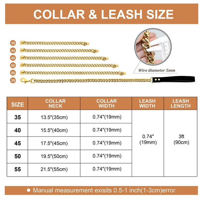 Gold Dog Collar & Leash Bundle