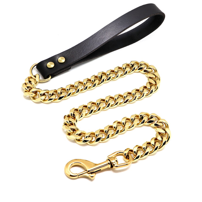 Gold Dog Collar & Leash Bundle