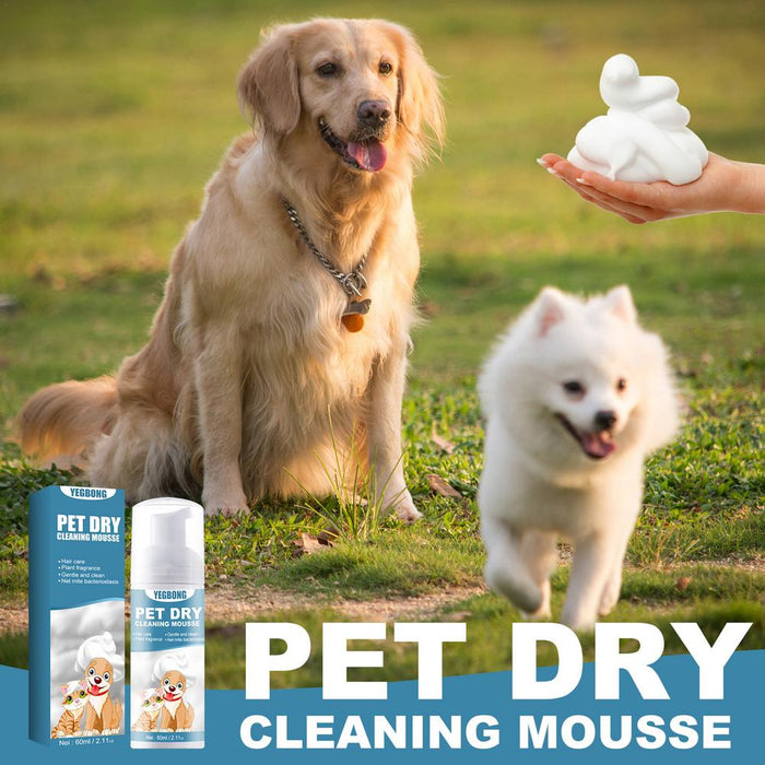 No Rinse Pet Dry Shampoo