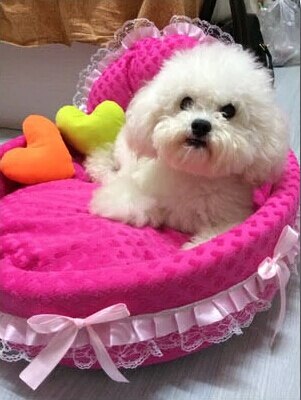 Princess Pet Bed